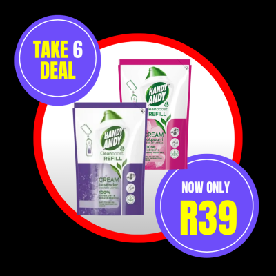 HANDY ANDY 750ML REFILL TAKE 2 DEAL