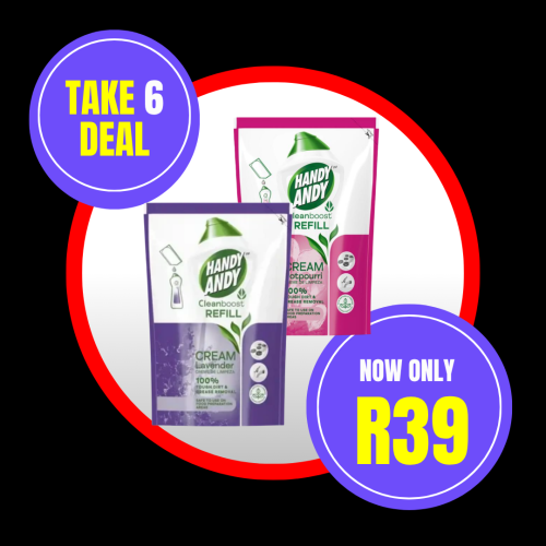 HANDY ANDY TAKE 2 DEAL HANDY ANDY 750ML REFILL TAKE 2 DEAL - Image 1