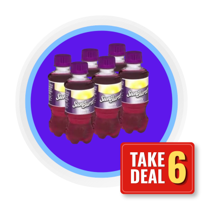 SUN BURST BERRY 200ML 6 PACK
